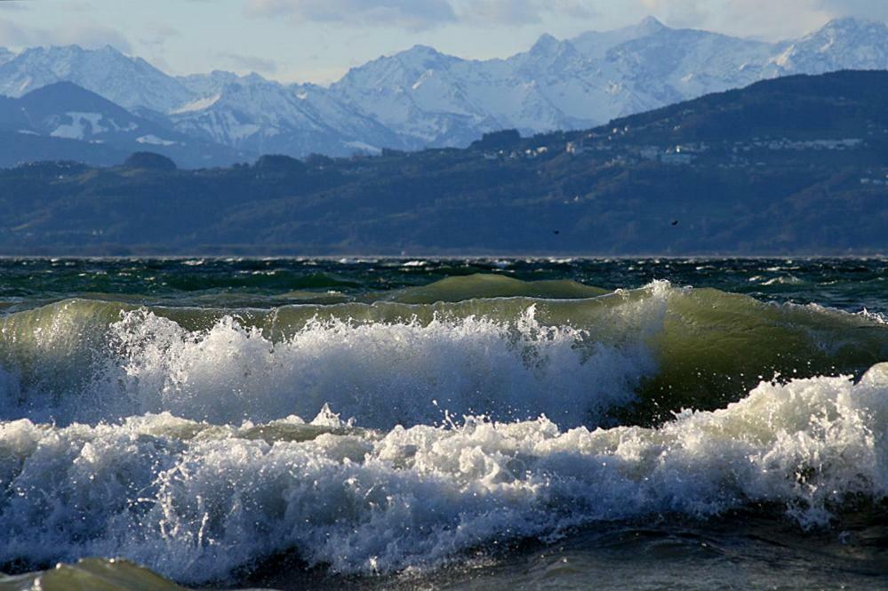 Zum Seglerhafen - Ferienappartement Kressbronn am Bodensee Eksteriør billede