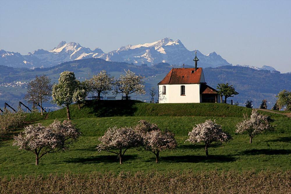 Zum Seglerhafen - Ferienappartement Kressbronn am Bodensee Eksteriør billede
