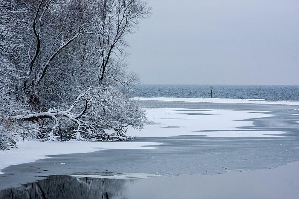 Zum Seglerhafen - Ferienappartement Kressbronn am Bodensee Eksteriør billede